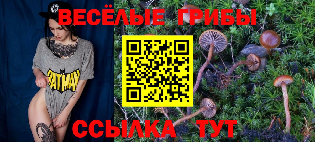 Псилоцибиновые грибы мухоморы  Псилоцибиновые грибы Magic Shrooms  купить наркоту  Бердск  Вход с VPN 