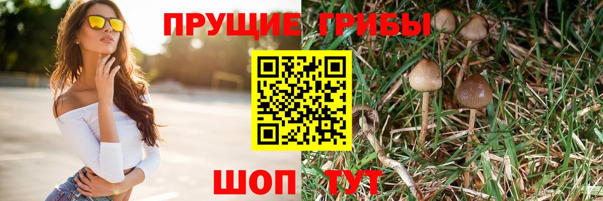 Псилоцибиновые грибы прущие грибы Бердск