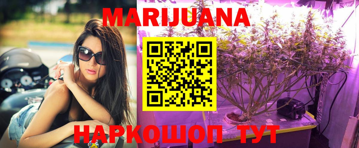 МАРИХУАНА SATIVA & INDICA  Вход с VPN  Бердск  Конопля марихуана 